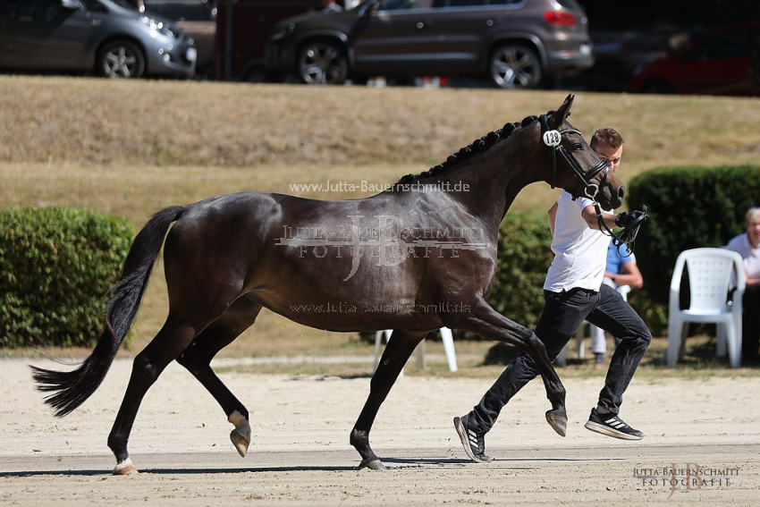 Preview 22-ZStE-RLP-4-Herbstgold_JB_86707.jpg