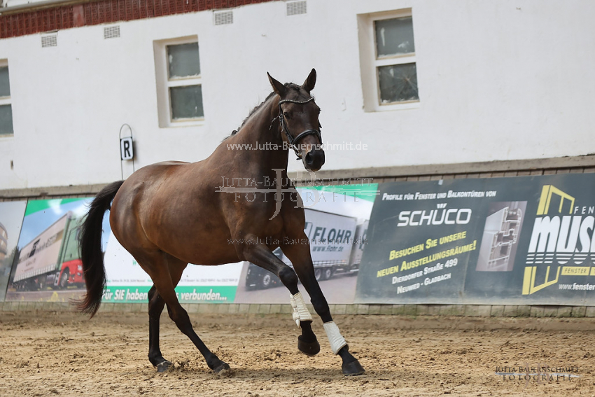 Preview 22-ZStE-RLP-Z-Sommernacht_JB_86419.jpg