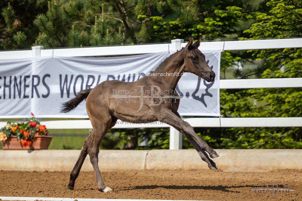 Preview 23_02-Wessobrunn_JB_05382.jpg