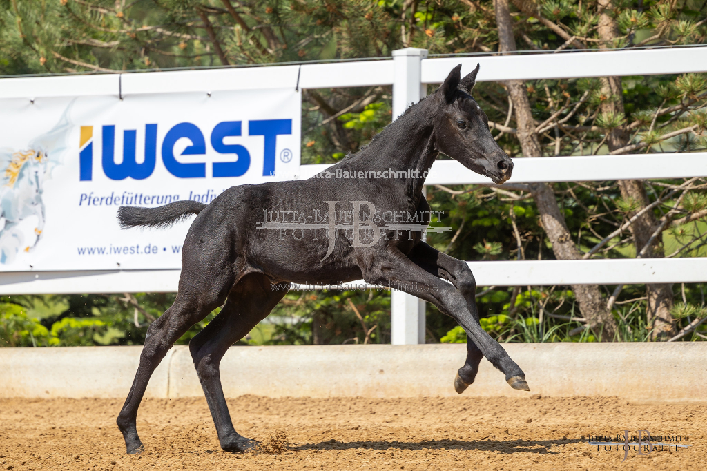 Preview 23_07-Wessobrunn_JB_06390.jpg