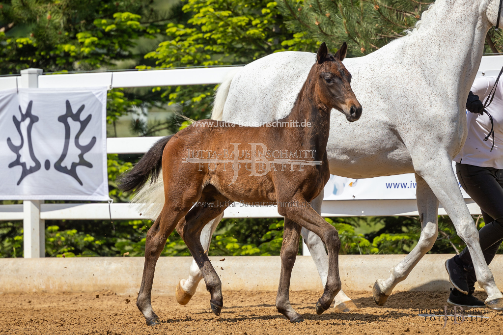 Preview 23_08-Wessobrunn_JB_06570.jpg