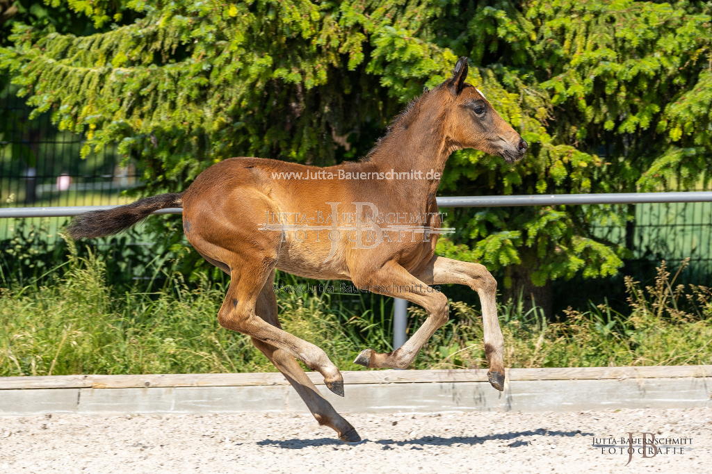 Preview 23_02-Herrenberg_JB_08370.jpg