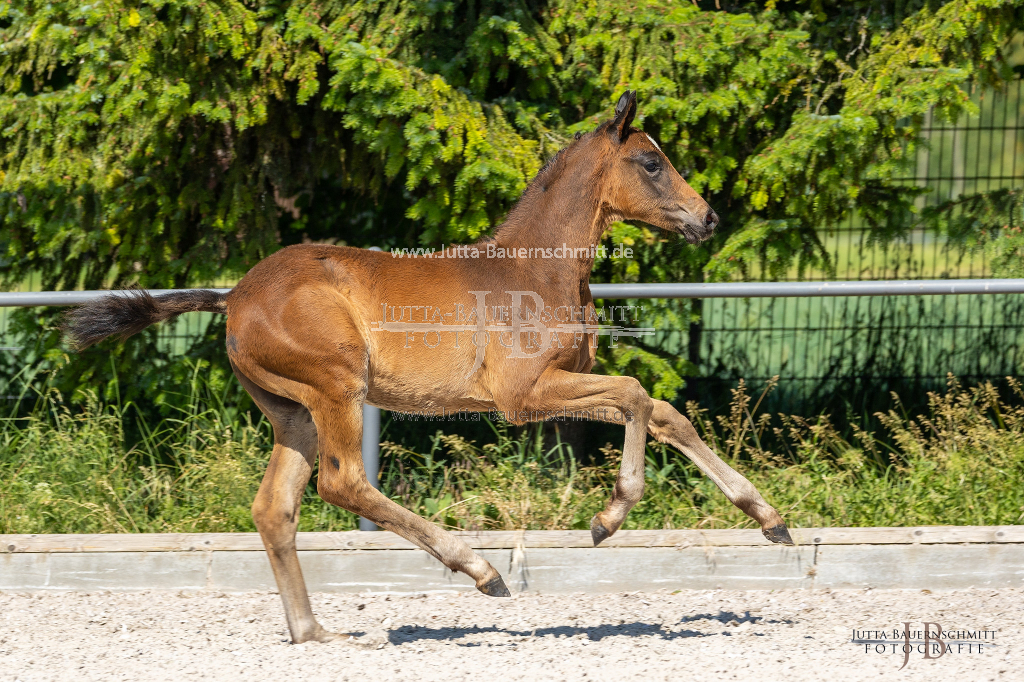 Preview 23_02-Herrenberg_JB_08371.jpg