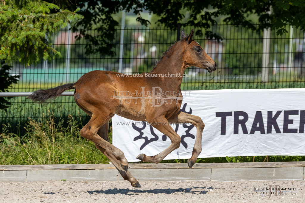 Preview 23_02-Herrenberg_JB_08379.jpg