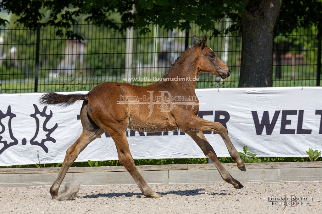 Preview 23_02-Herrenberg_JB_08382.jpg