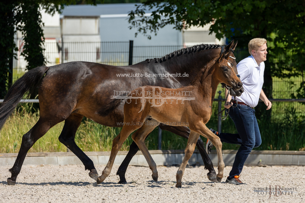 Preview 23_02-Herrenberg_JB_08405.jpg