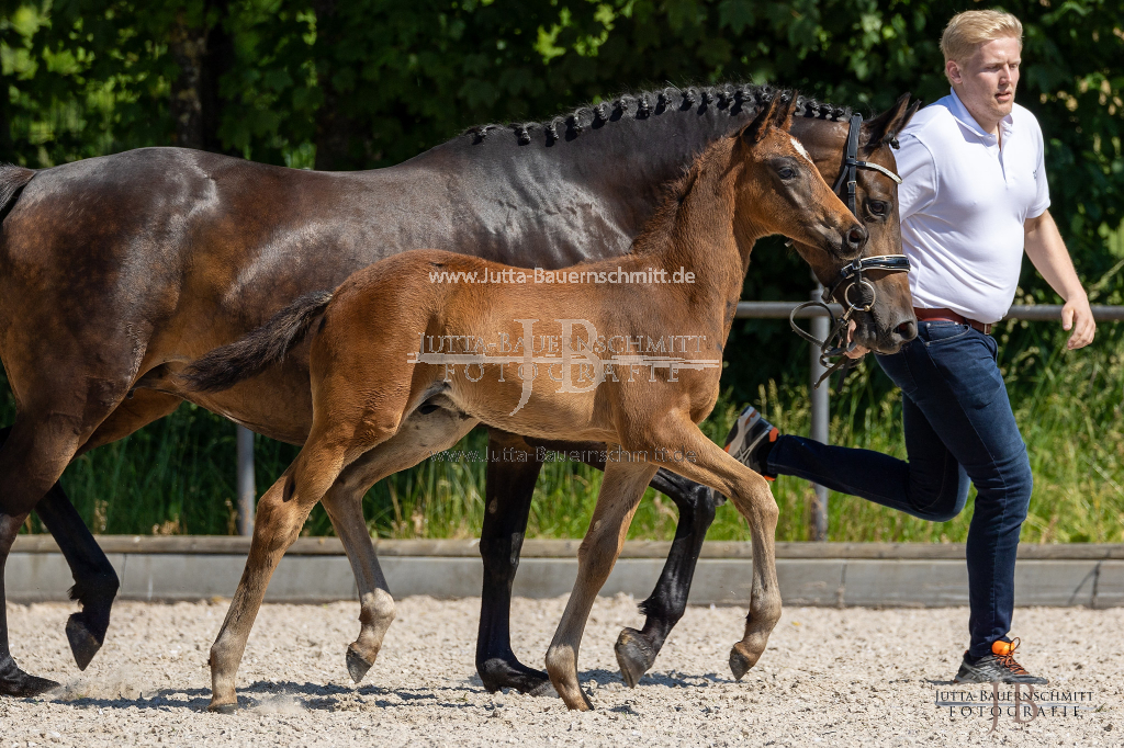 Preview 23_02-Herrenberg_JB_08408.jpg