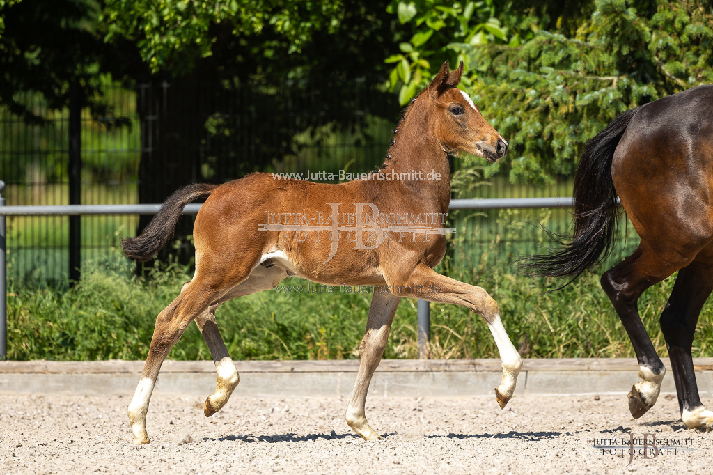 Preview 23_03-Herrenberg_JB_08450.jpg