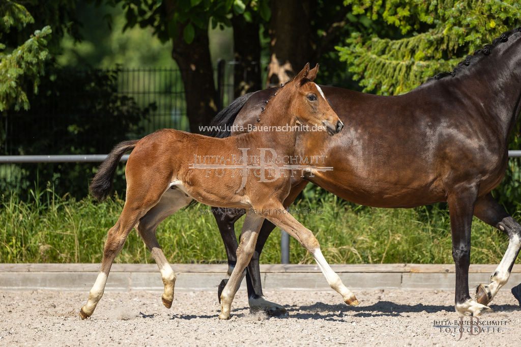 Preview 23_03-Herrenberg_JB_08453.jpg