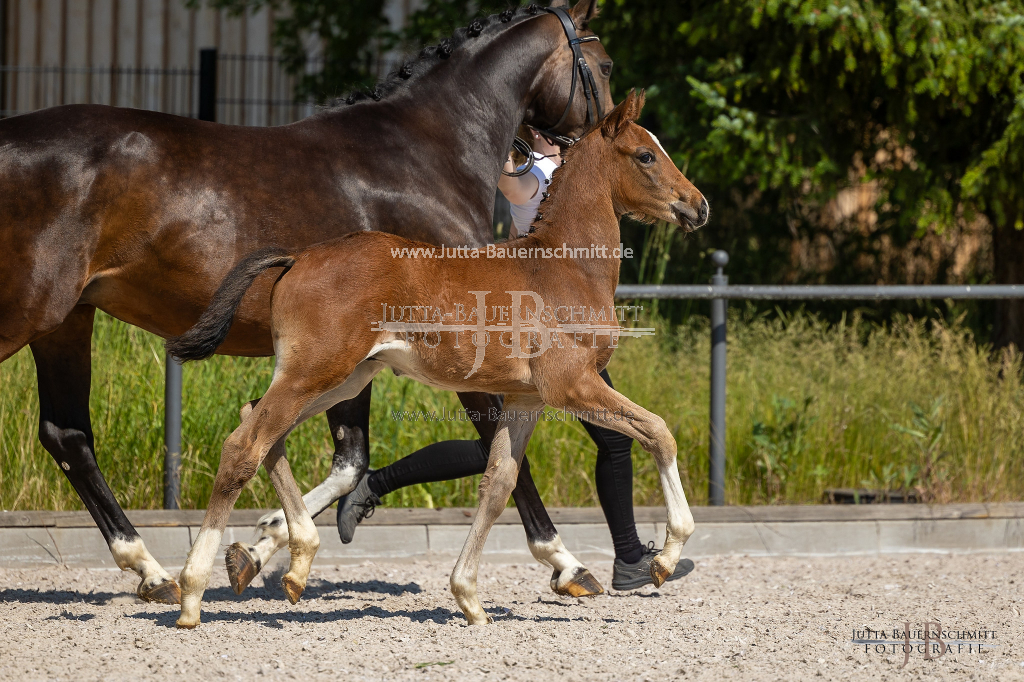 Preview 23_03-Herrenberg_JB_08463.jpg