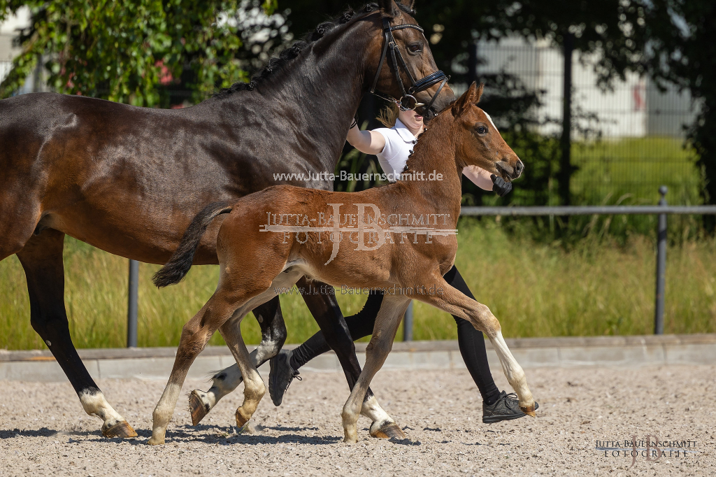 Preview 23_03-Herrenberg_JB_08465.jpg