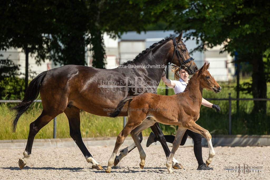 Preview 23_03-Herrenberg_JB_08468.jpg