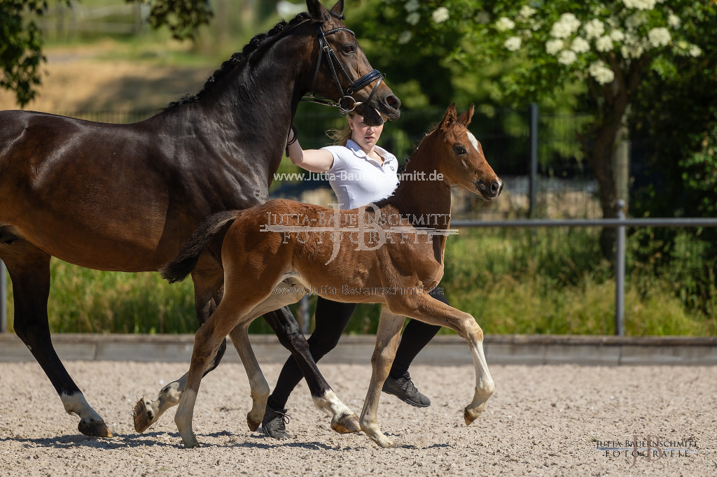 Preview 23_03-Herrenberg_JB_08471.jpg