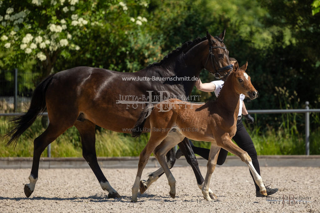 Preview 23_03-Herrenberg_JB_08475.jpg