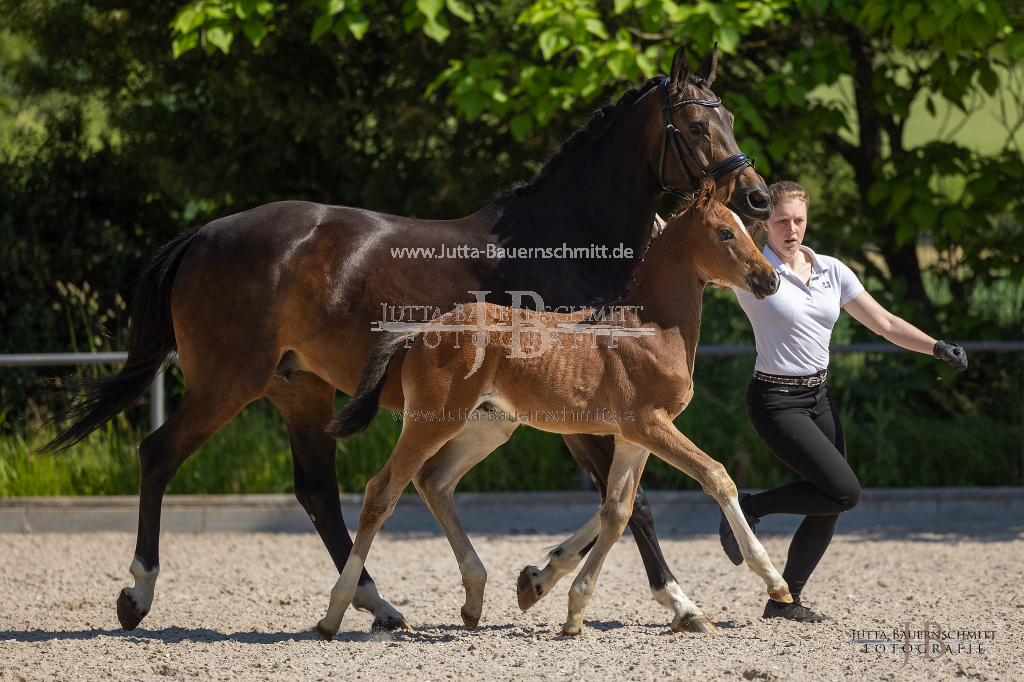 Preview 23_03-Herrenberg_JB_08478.jpg