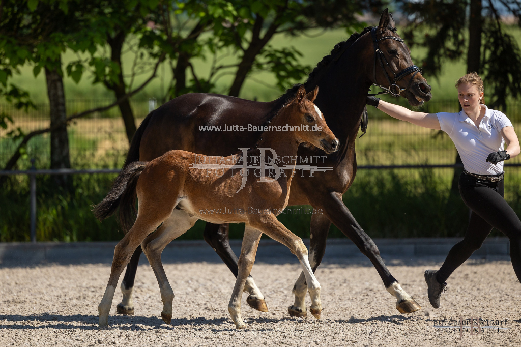 Preview 23_03-Herrenberg_JB_08481.jpg