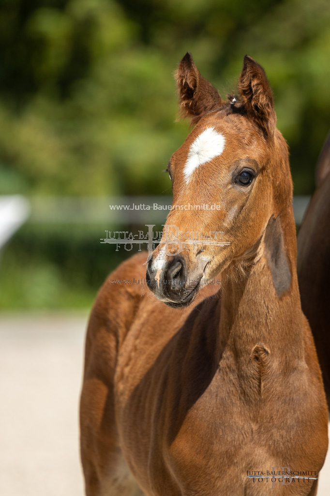 Preview 23_03-Herrenberg_JB_08491.jpg