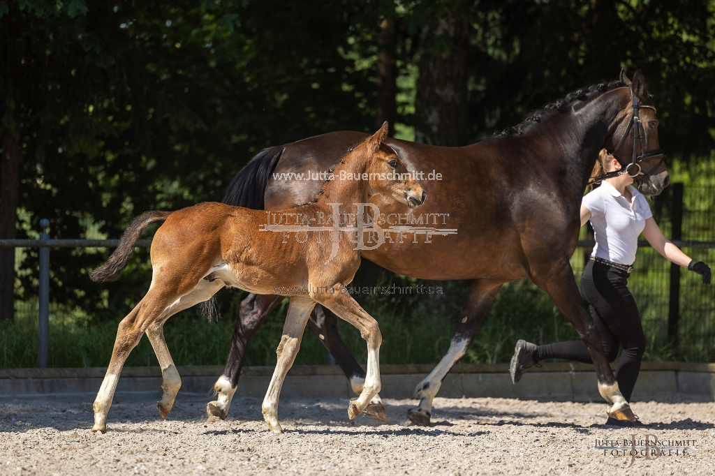 Preview 23_03-Herrenberg_JB_08545.jpg