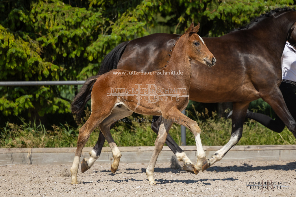 Preview 23_03-Herrenberg_JB_08566.jpg