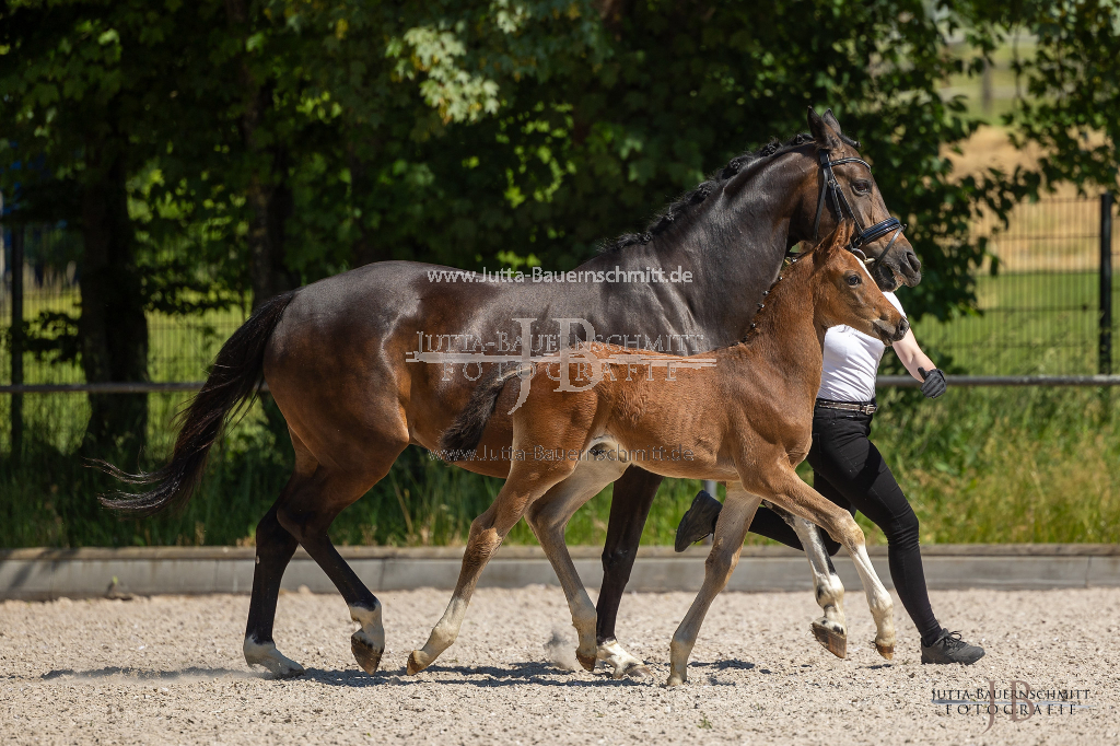 Preview 23_03-Herrenberg_JB_08591.jpg