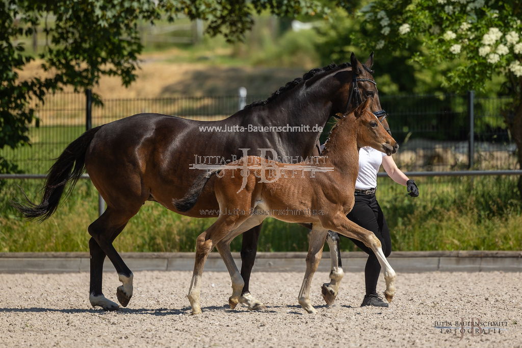 Preview 23_03-Herrenberg_JB_08595.jpg