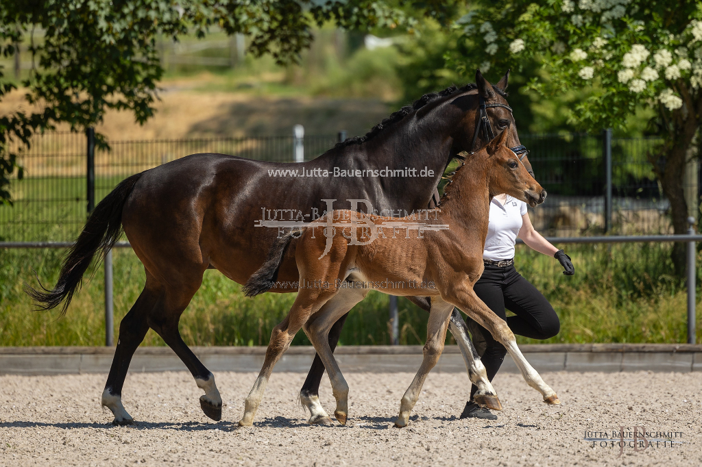 Preview 23_03-Herrenberg_JB_08596.jpg