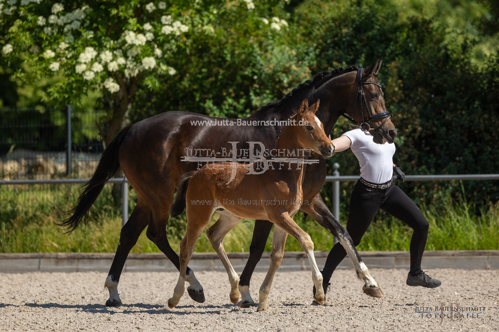 Preview 23_03-Herrenberg_JB_08599.jpg