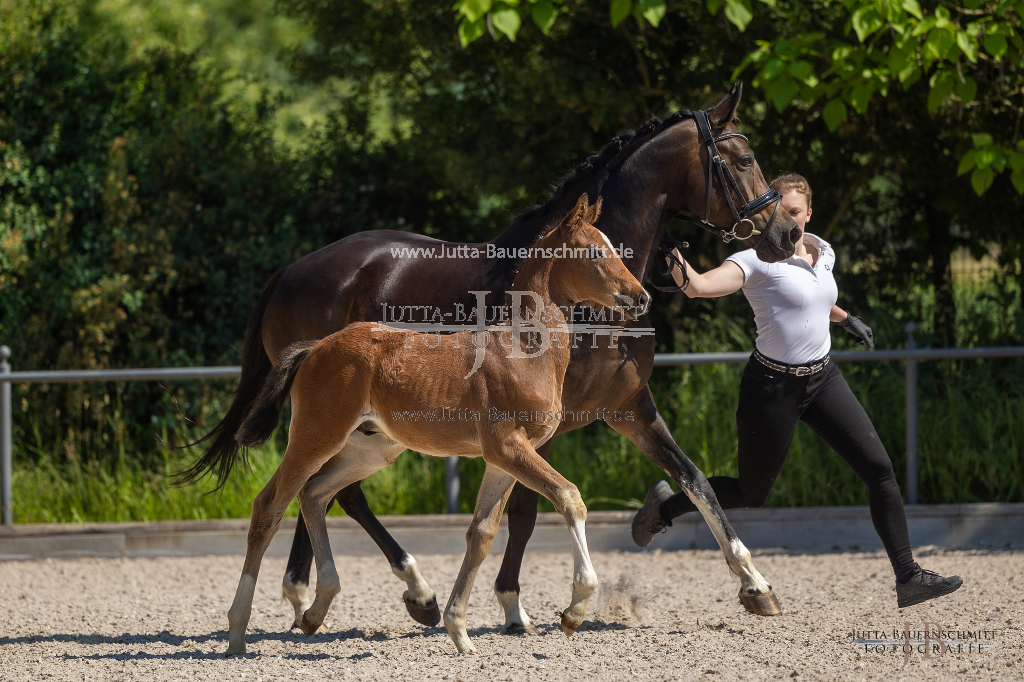 Preview 23_03-Herrenberg_JB_08603.jpg