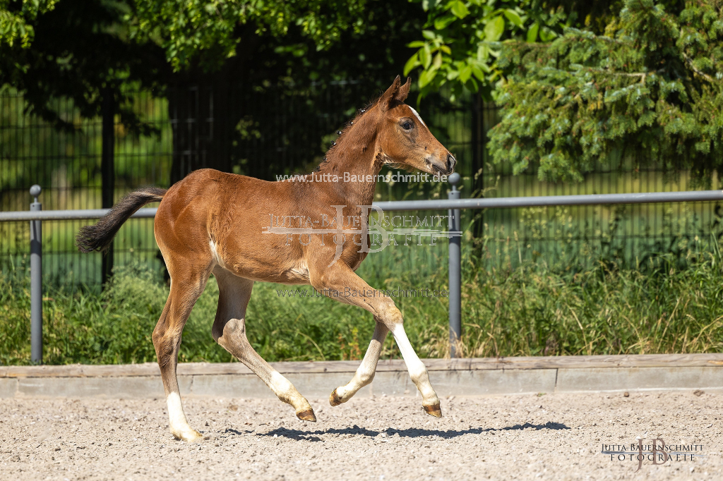 Preview 23_03-Herrenberg_JB_08638.jpg