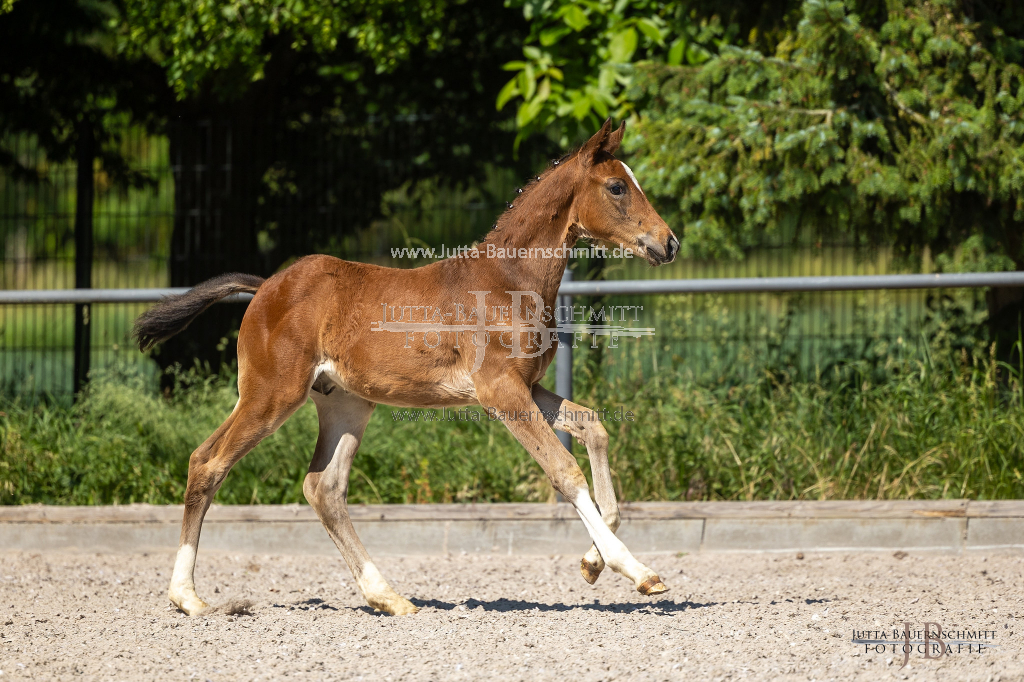 Preview 23_03-Herrenberg_JB_08639.jpg