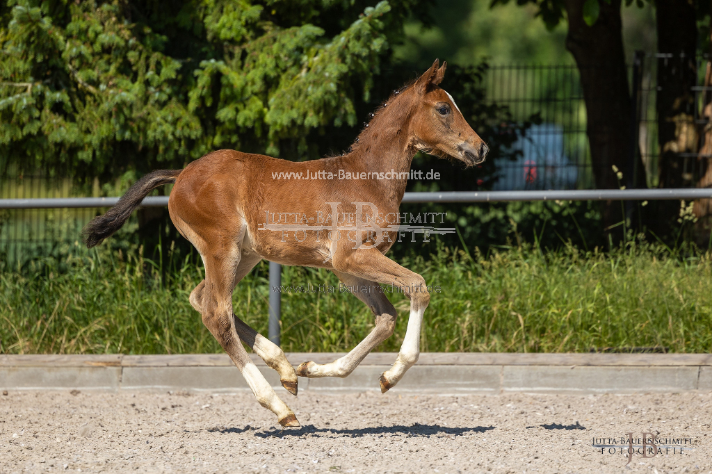 Preview 23_03-Herrenberg_JB_08646.jpg