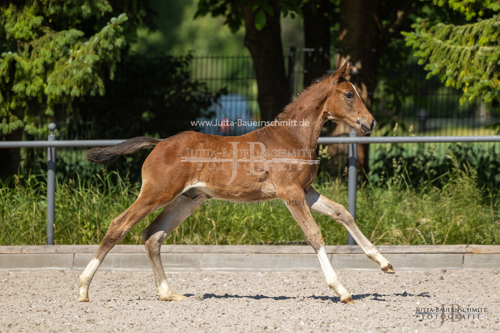 Preview 23_03-Herrenberg_JB_08649.jpg