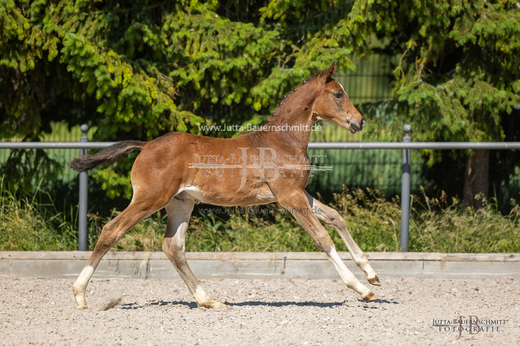 Preview 23_03-Herrenberg_JB_08658.jpg