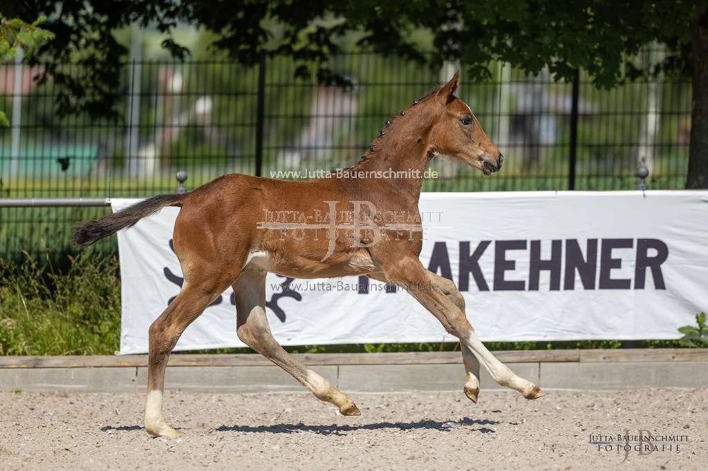 Preview 23_03-Herrenberg_JB_08667.jpg