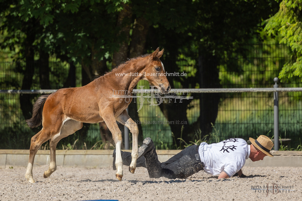 Preview 23_03-Herrenberg_JB_08696.jpg