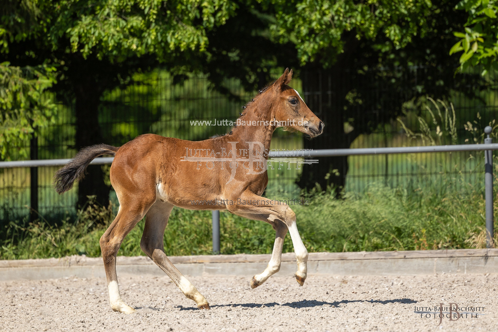 Preview 23_03-Herrenberg_JB_08705.jpg