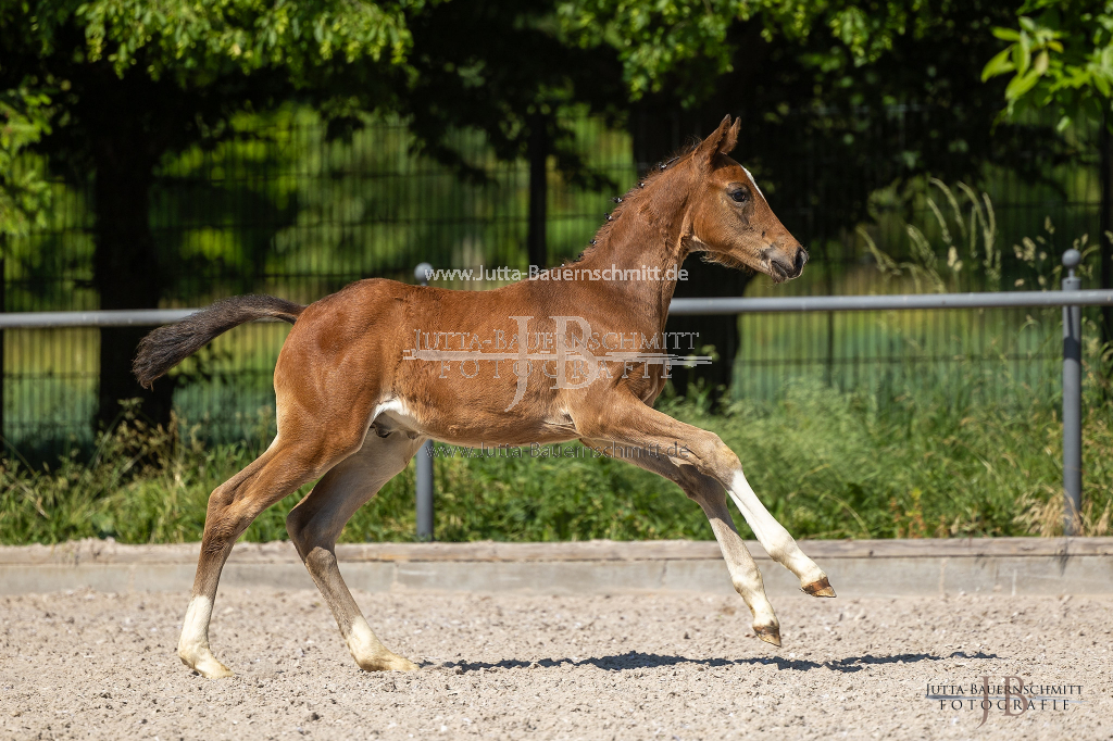 Preview 23_03-Herrenberg_JB_08706.jpg