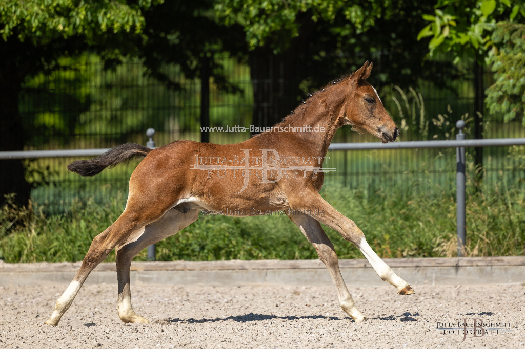 Preview 23_03-Herrenberg_JB_08707.jpg