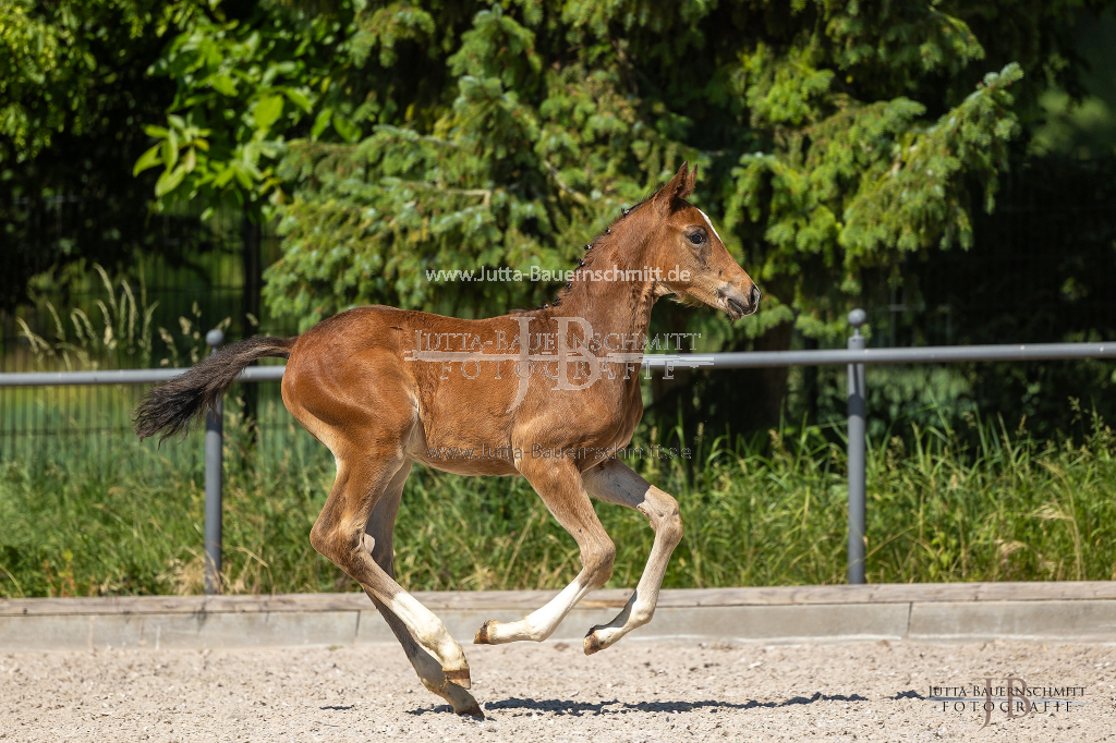 Preview 23_03-Herrenberg_JB_08713.jpg