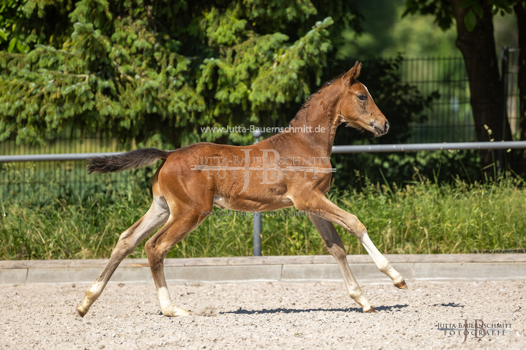 Preview 23_03-Herrenberg_JB_08716.jpg