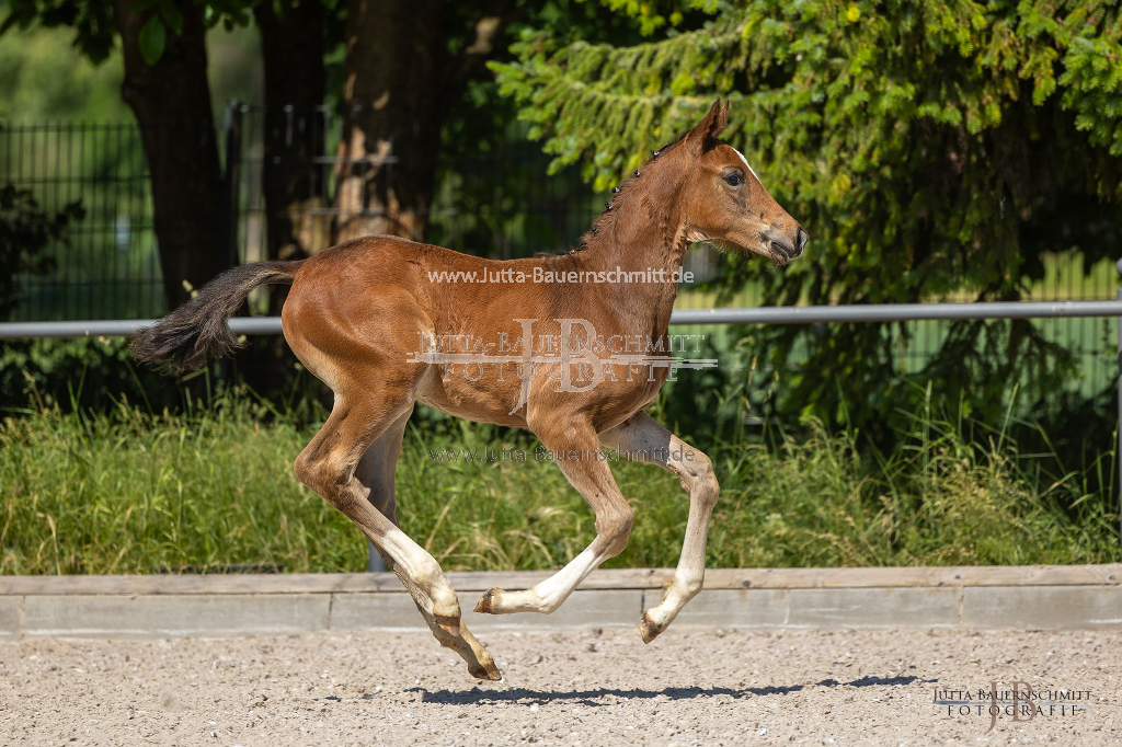 Preview 23_03-Herrenberg_JB_08722.jpg