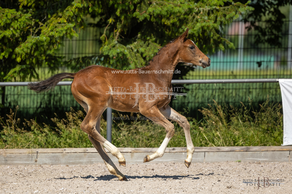 Preview 23_03-Herrenberg_JB_08732.jpg