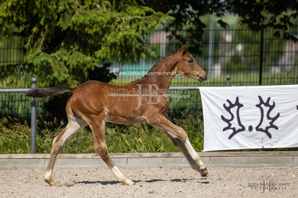 Preview 23_03-Herrenberg_JB_08734.jpg