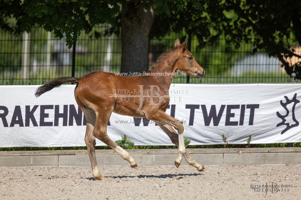 Preview 23_03-Herrenberg_JB_08743.jpg