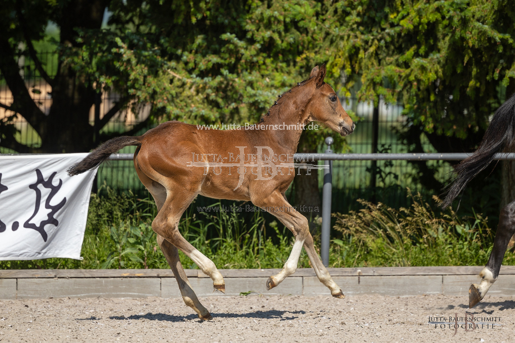 Preview 23_03-Herrenberg_JB_08752.jpg