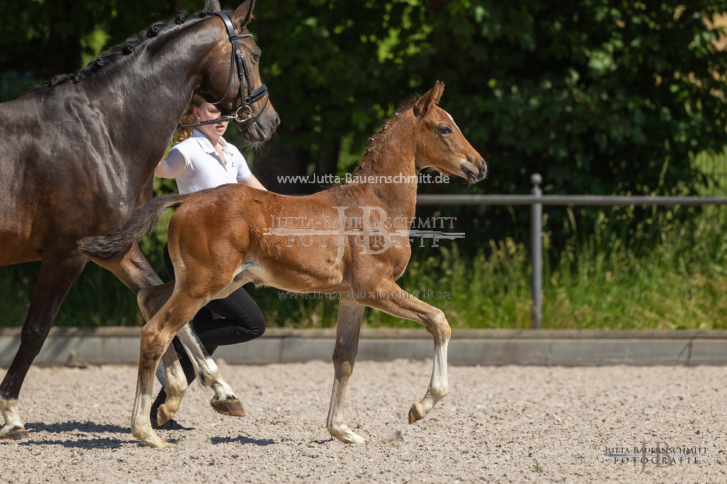 Preview 23_03-Herrenberg_JB_08760.jpg