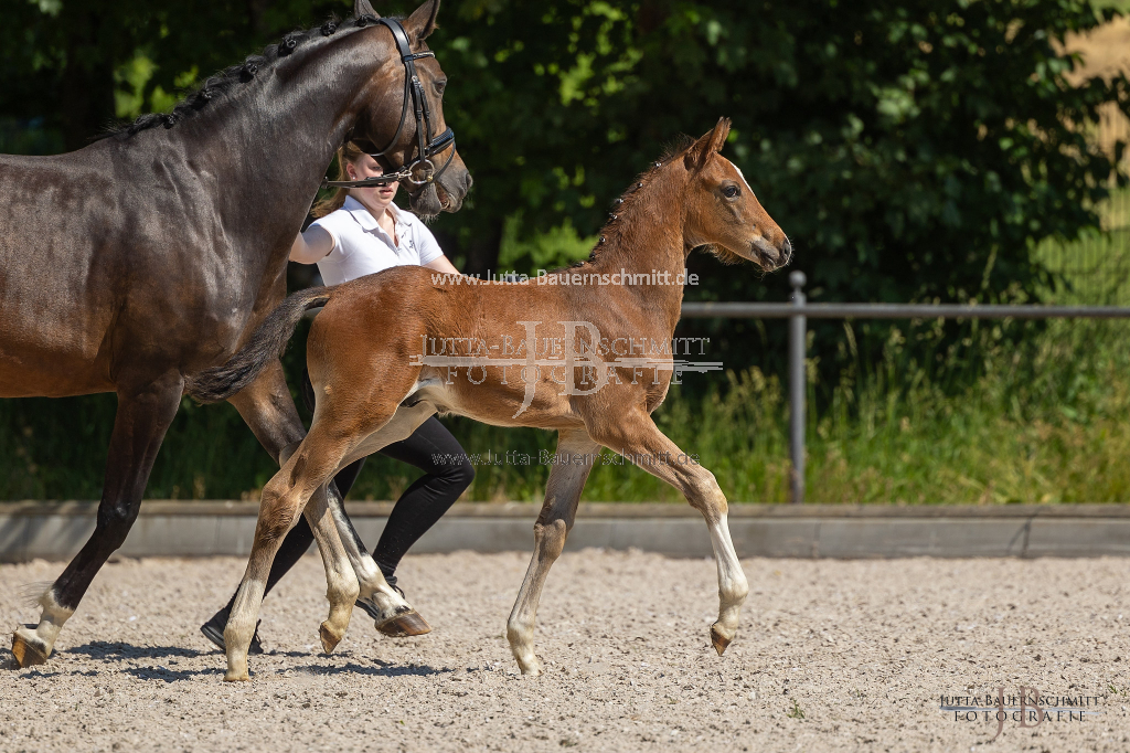 Preview 23_03-Herrenberg_JB_08761.jpg