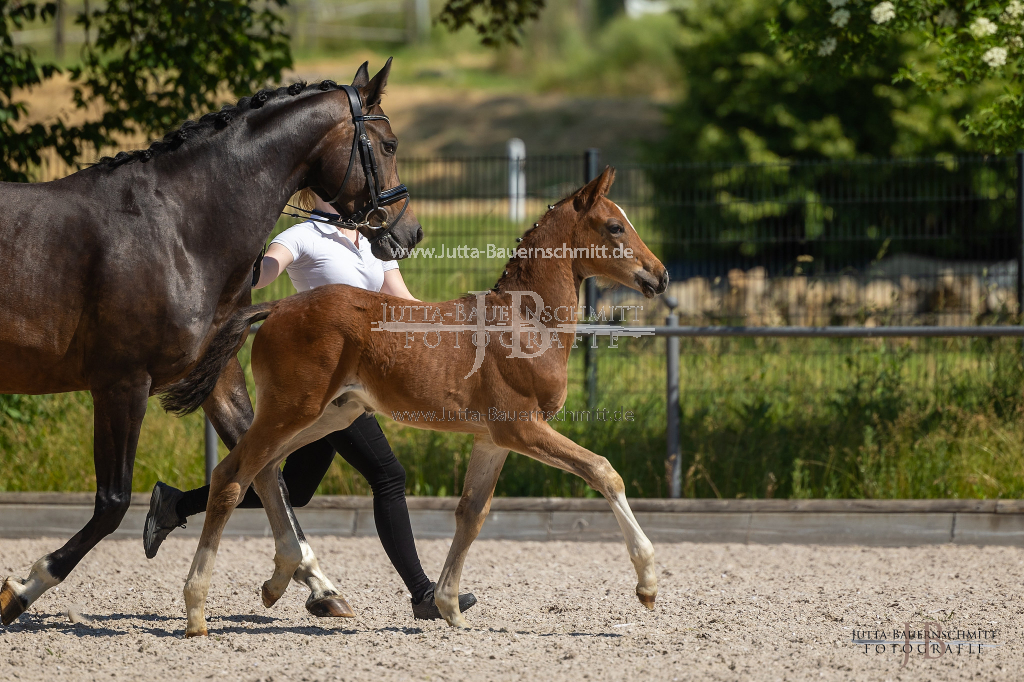 Preview 23_03-Herrenberg_JB_08762.jpg