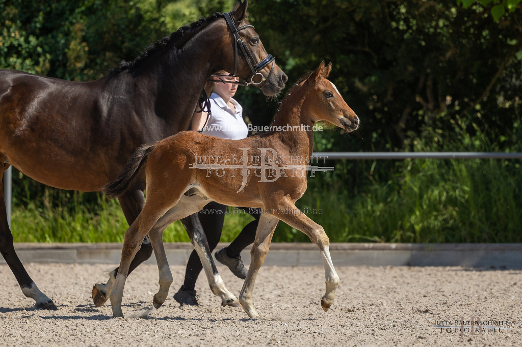 Preview 23_03-Herrenberg_JB_08766.jpg