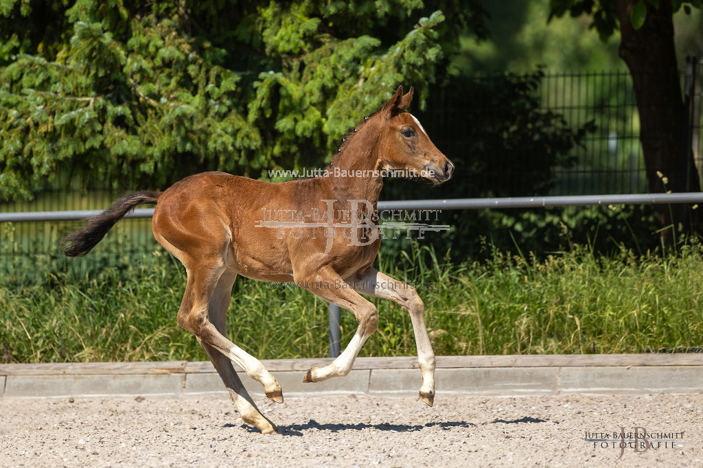 Preview 23_03-Herrenberg_JB_08785.jpg